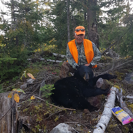 Hunt Black Bear in Northern Ontario